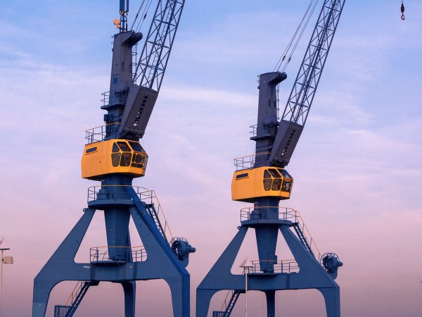 crane-2917214_1280